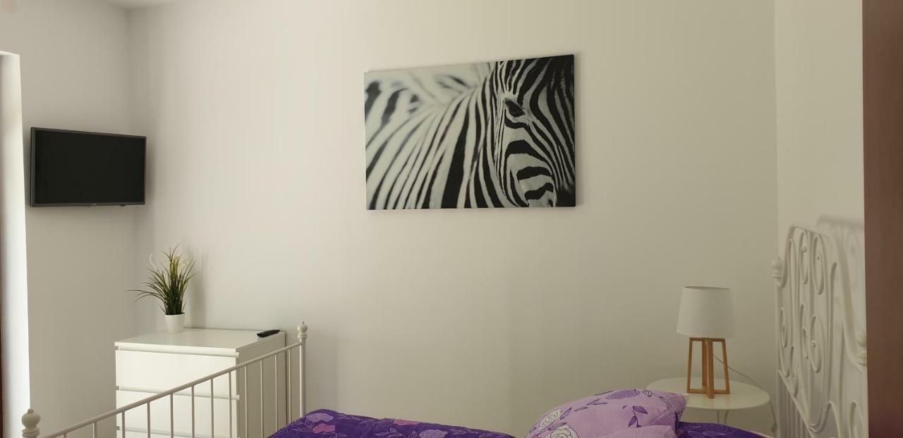 Apartamenty Wisełka Bagian luar foto